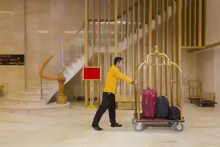 Dendro Gold - 33