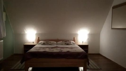 Guest House Wolf - 15