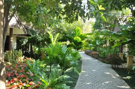 Laluna And Resort, Chiang Rai - 69