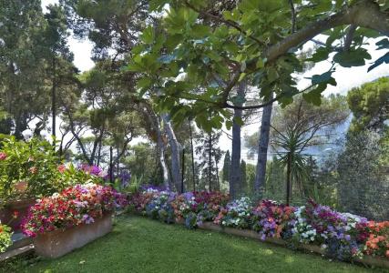 Villa Brunella - 42