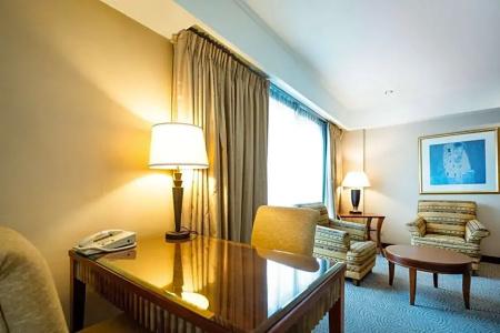 Melia Buenos Aires - 137