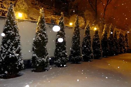 Park Avenue Yerevan - 18