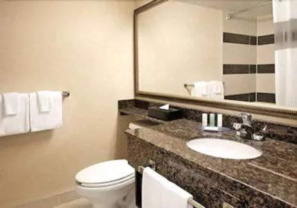 Comfort Suites Downtown - 9