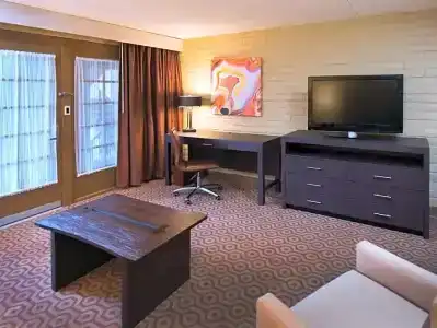 DoubleTree Suites by Hilton Tucson-Williams Center - 43