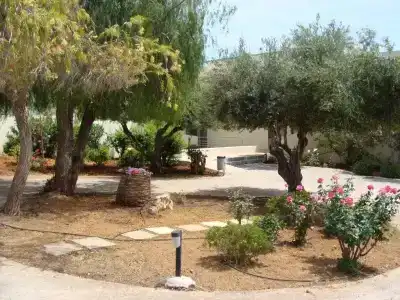 Rodon - 9