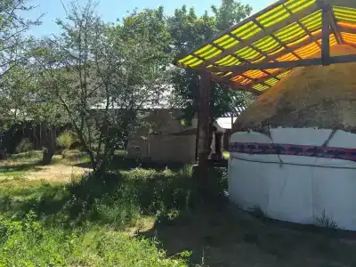 Туркестан - 22