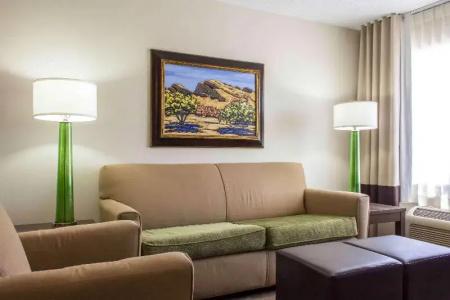 Comfort Suites at Tucson Mall - 46