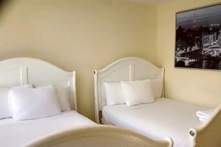 The Alexander All Suites - 647