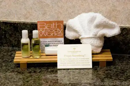 Best Western Plus Thunderbird Suites - 42
