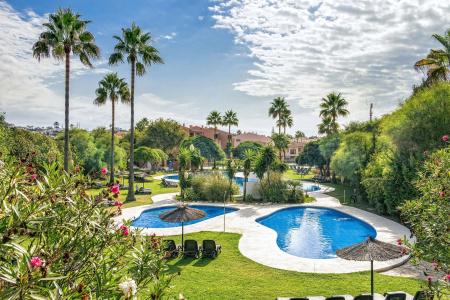 Los Amigos Beach Club By Diamond Resorts - 42