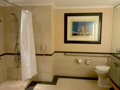 Hilton Buenos Aires - 59