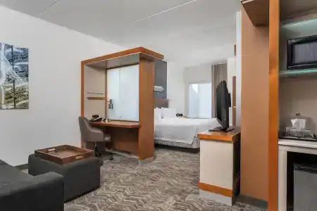 SpringHill Suites by Marriott Downtown/Cameron Harbor - 57