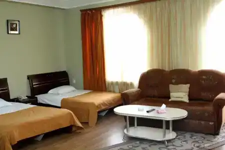 Golden Apricot - 2