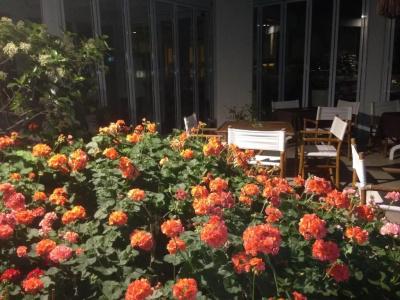 Seapark Spa Resort - 6