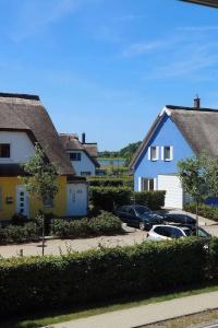 Windland - 40