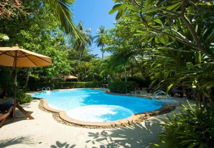 Sunrise Tropical - 10