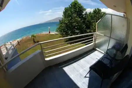 Ocean & Fron Agency - 15