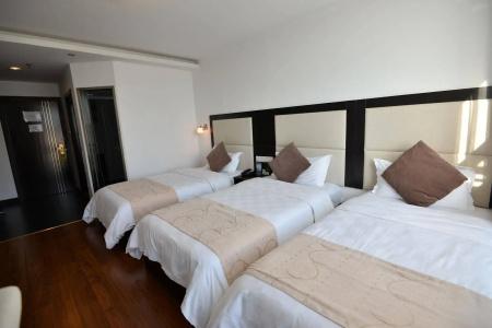 Shanghai Joyful Star(Pudong Airport/Shanghai International Resort/Free Trade Zone) - 6