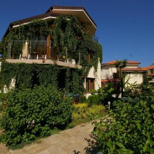 Laguna Beach Resort & Spa - 29
