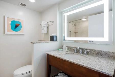 Holiday Inn Orlando – Disney Springs™ Area, An Ihg - 78