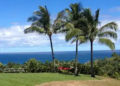 The Cliffs at - 15