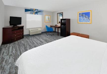 Hampton Inn & Suites Dallas-Arlington-South - 32
