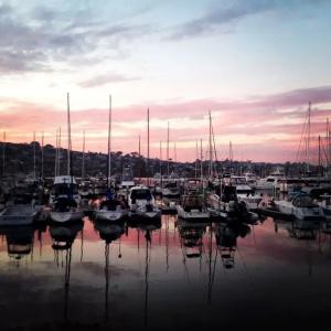 Best Western Plus Island Palms & Marina - 78
