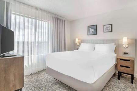 Sonesta Es Suites San Antonio Downtown Alamo Plaza - 47