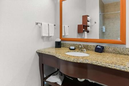 Hampton Inn & Suites I-20 - 70