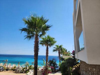Summer Dream - 5