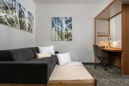 SpringHill Suites by Marriott Downtown/Cameron Harbor - 64