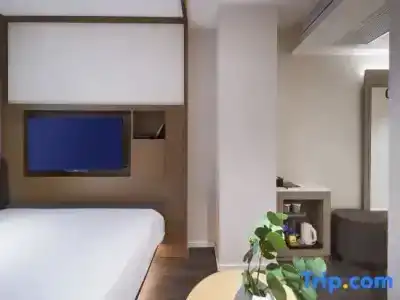 Hanting Premium Nanjing Xuanwumen - 11