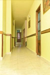 Green Hostel and Tours - 9