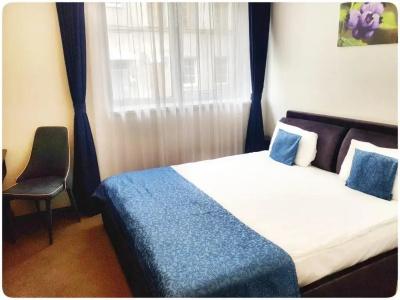 Vivulskio Apart-Hotel - 64