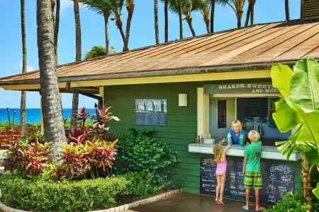 The Ritz-Carlton Maui, Kapalua - 19