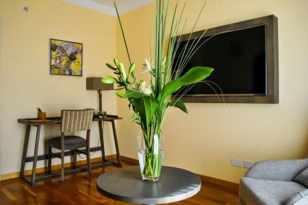 Grand Brizo Buenos Aires - 15