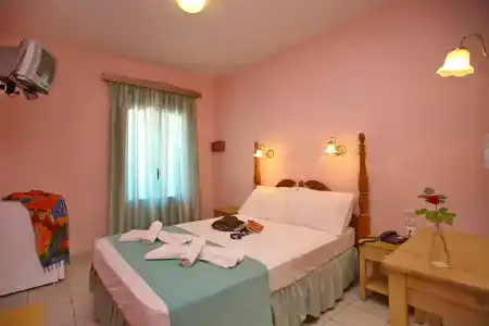 Dolphin - 4