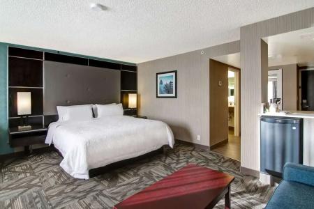 Hampton Inn & Suites by Hilton-Airport - 54