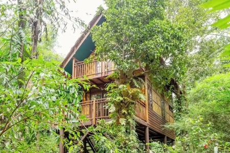 Our Jungle Camp - Eco Resort Sha Certified - 51