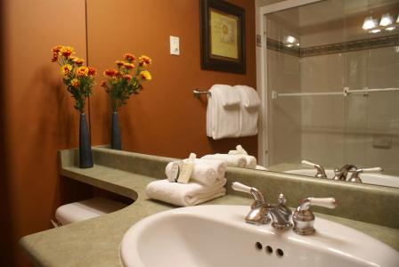 Whistler Superior Properties - 5
