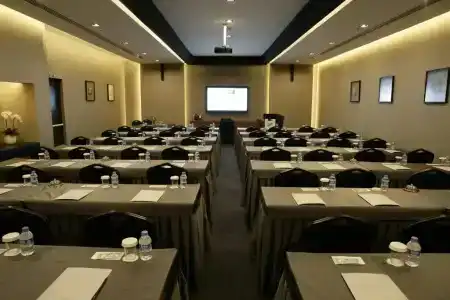 Rys - 10