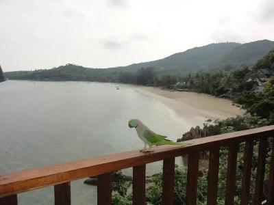 High Life Bungalow - 18