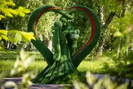 Зеленая роща - 36