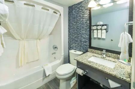 Quality Inn - 38
