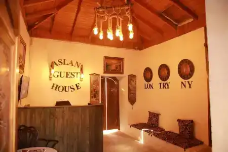 Aslan Guest House - 1