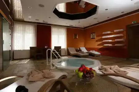 Vila Bled - 22