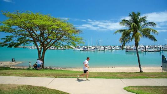 Shingley Beach - Whitsundays - 41
