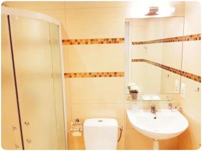 Vivulskio Apart-Hotel - 8