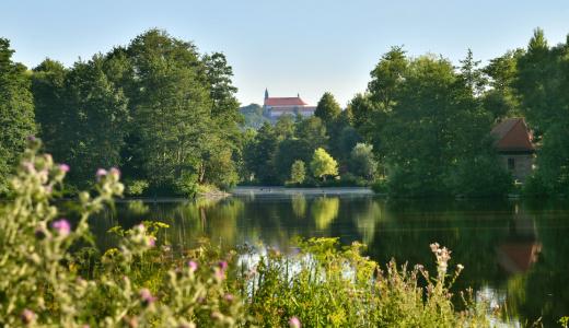 Holiday Inn Express - Fulda, An Ihg - 44