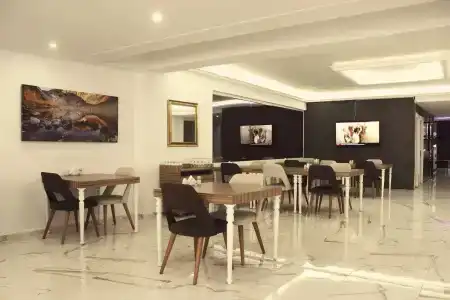 Vip Suit - 34